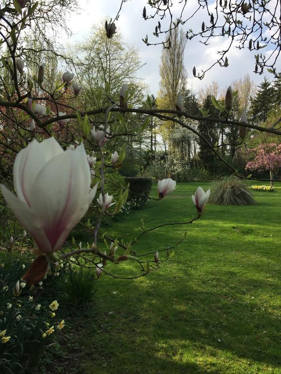 Le Domaine Des Loups Hotel Souchez Buitenkant foto